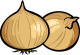 たまねぎ(玉葱)